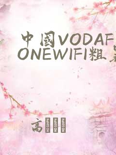 中国VODAFONEWIFI粗暴APP