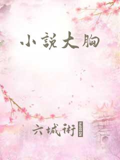 小说大胸