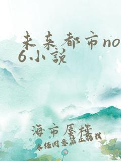 未来都市no.6小说