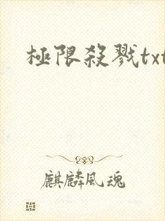 极限杀戮txt