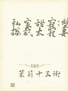 私家甜宠:双面总裁太宠妻