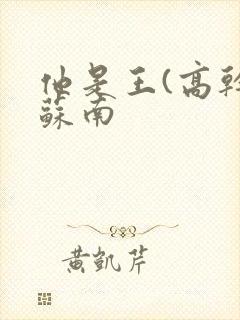 他是王(高干)苏南