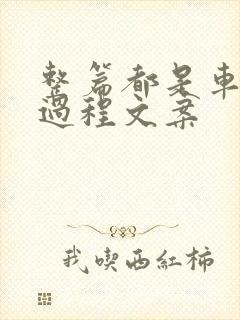 整篇都是车的肉过程文案