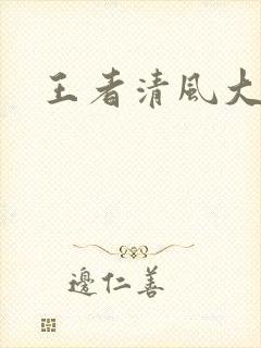 王者清风大结局