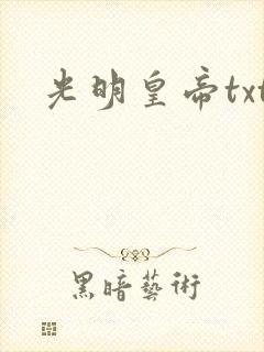 光明皇帝txt