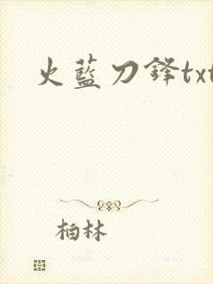 火蓝刀锋txt