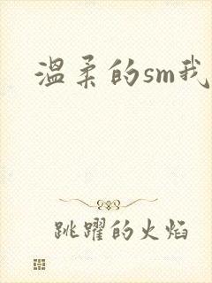 温柔的sm我