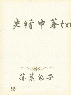 光绪中华txt
