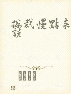 总裁慢点来 小说