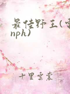 最佳野王(电竞nph)