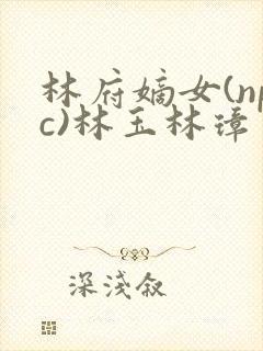 林府嫡女(npc)林玉林璋
