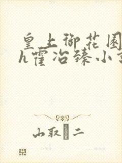 皇上御花园Hlh霍冶臻小说