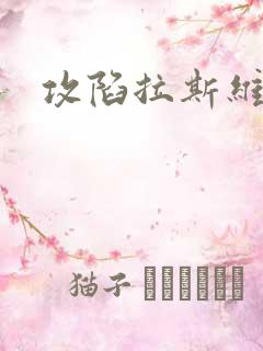 攻陷拉斯维加斯