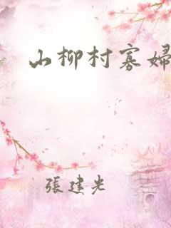 山柳村寡妇情史
