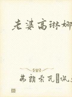 老婆高琳娜出轨