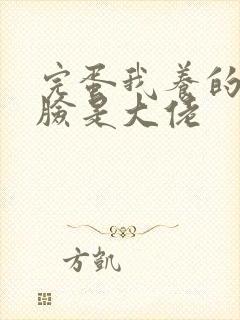 完蛋我养的小白脸是大佬