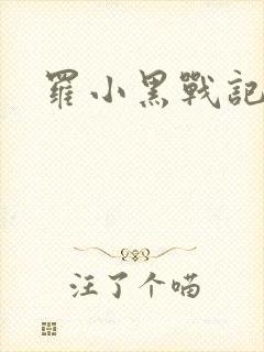 罗小黑战记小说