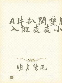 A片扒开双腿进入做爽爽小说