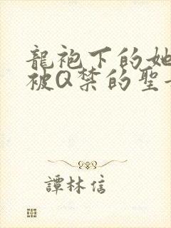 龙袍下的她皇嫂被Q禁的圣女