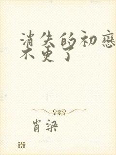 消失的初恋为啥不更了