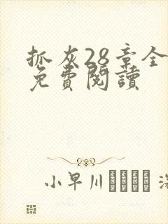 抓灰28章全部免费阅读