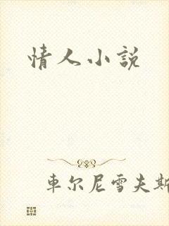 情人小说