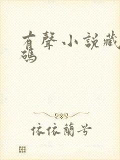 有声小说藏地密码