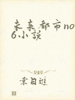 未来都市no.6小说