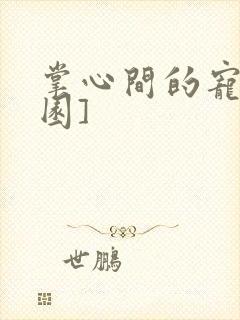 掌心间的宠[校园]