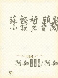 苏轻妍 顾辞笙小说免费阅读