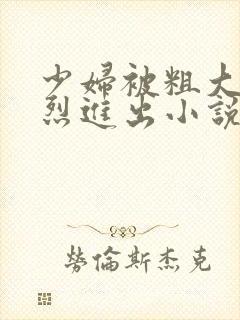 少妇被粗大的猛烈进出小说网