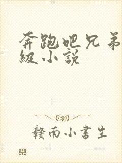 奔跑吧兄弟限制级小说