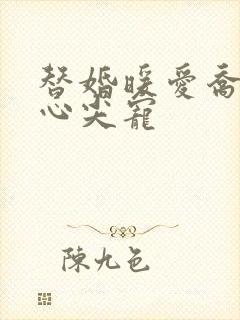 替婚暖爱乔少的心尖宠