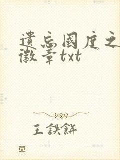 遗忘国度之神秘徽章txt