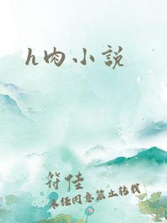 h肉小说