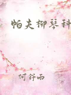 帕夫柳琴科二世