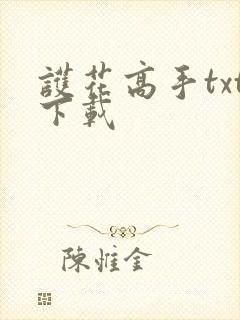 护花高手txt下载