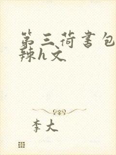 第三荷书包网高辣h文