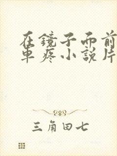 在镜子面前做开车疼小说片段