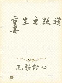 重生之改造糟糠妻