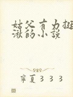 姑父有力挺送徐湫的小说