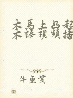 木马上凸起电动木棒视频播放