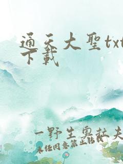 通天大圣txt下载