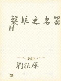 系统之名器勾男H