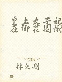 皇上太子妃沈音在御花园树上