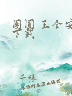 团圆 王全安 下载