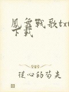 凤舞战歌txt下载