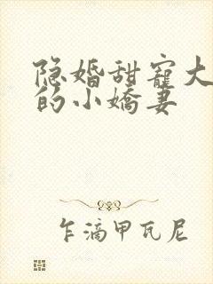 隐婚甜宠大财阀的小娇妻