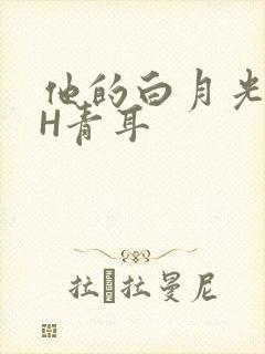 他的白月光HVH青耳