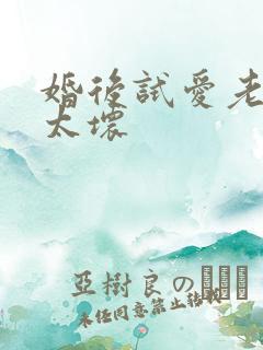 婚后试爱老公别太坏